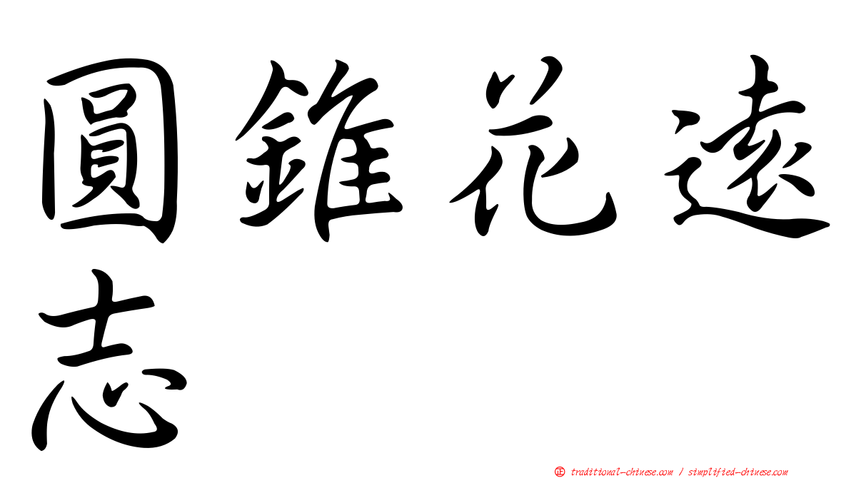 圓錐花遠志