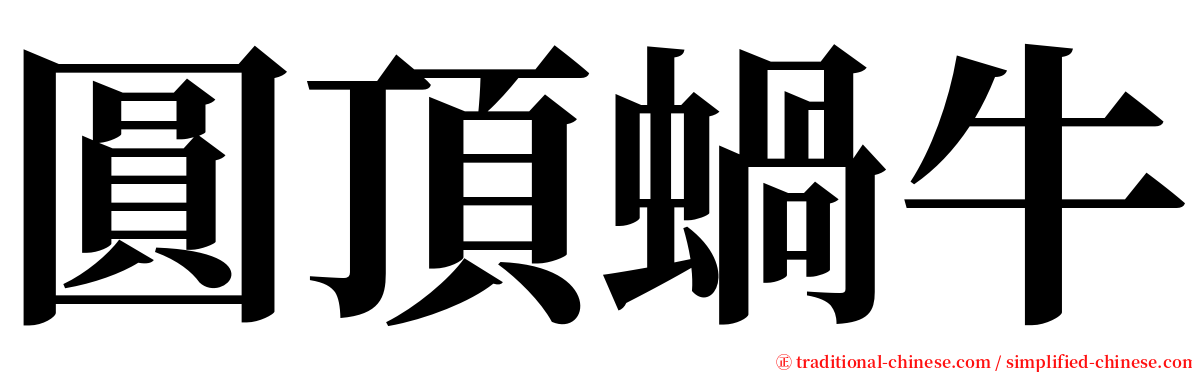 圓頂蝸牛 serif font