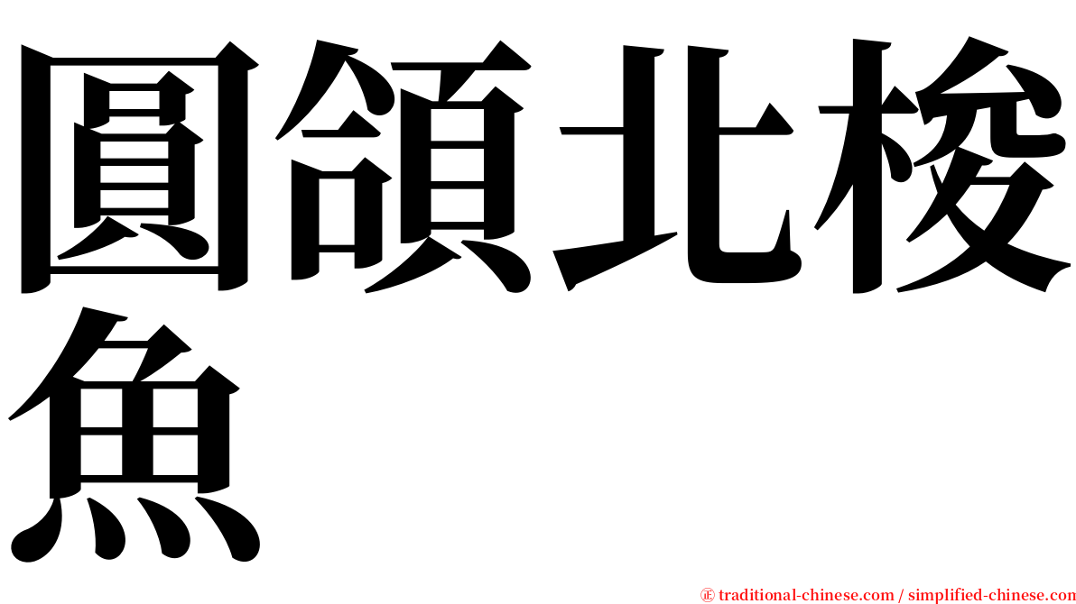 圓頜北梭魚 serif font