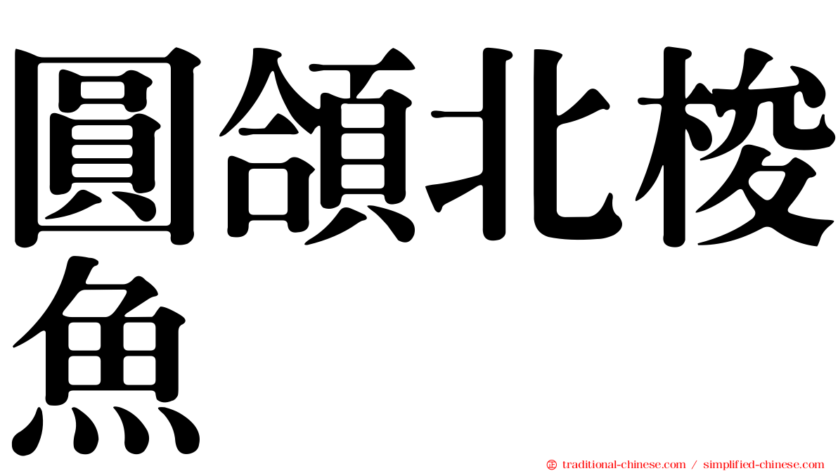 圓頜北梭魚