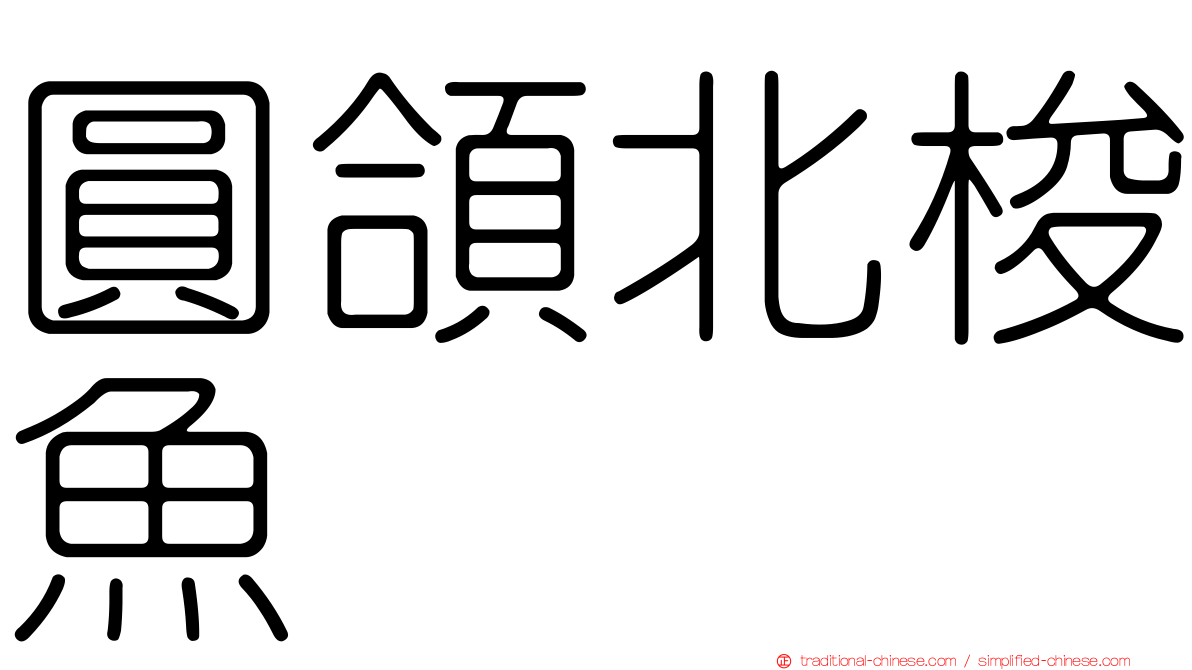 圓頜北梭魚