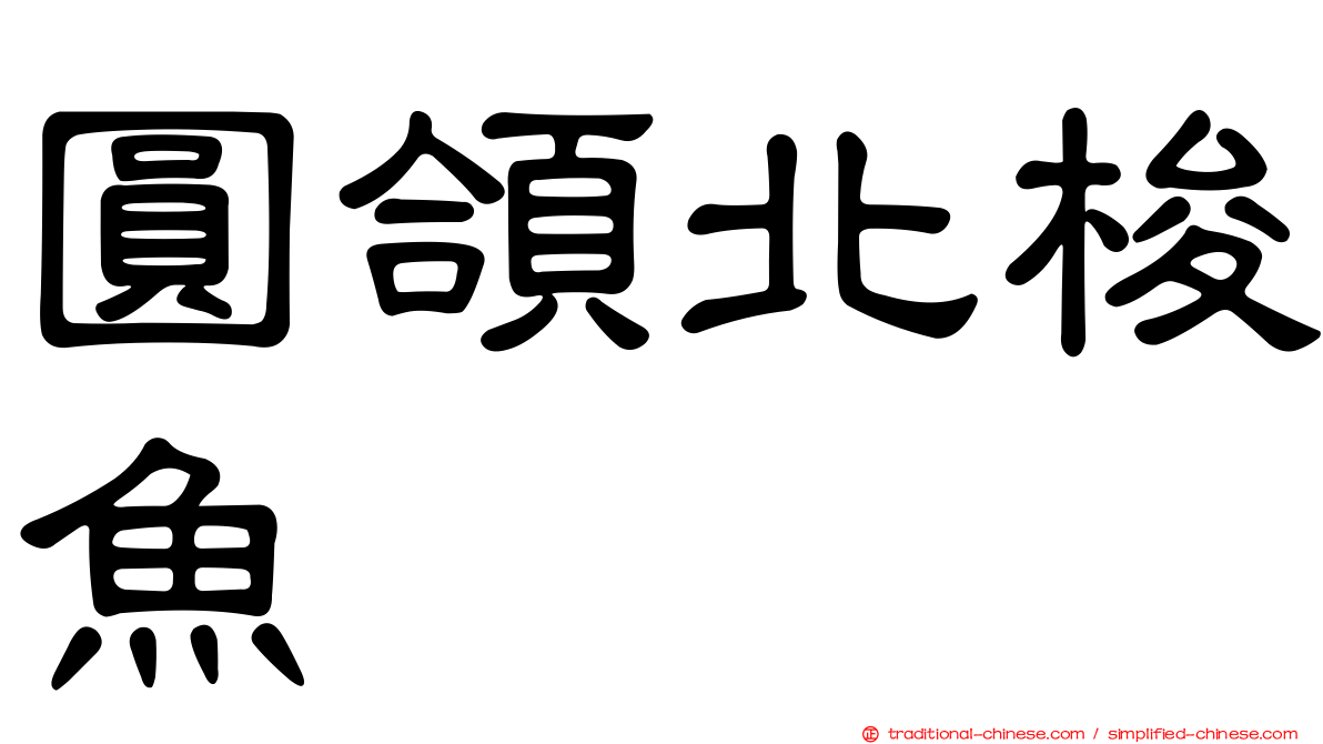 圓頜北梭魚