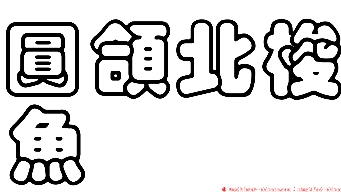 圓頜北梭魚