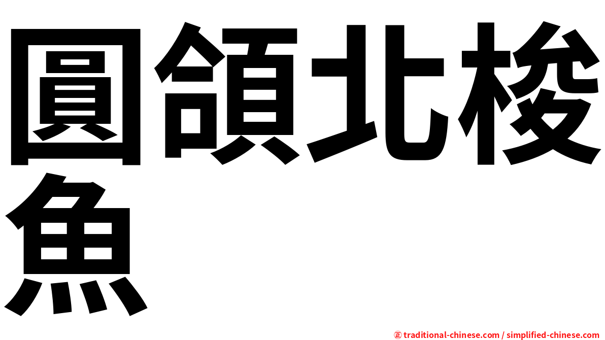 圓頜北梭魚