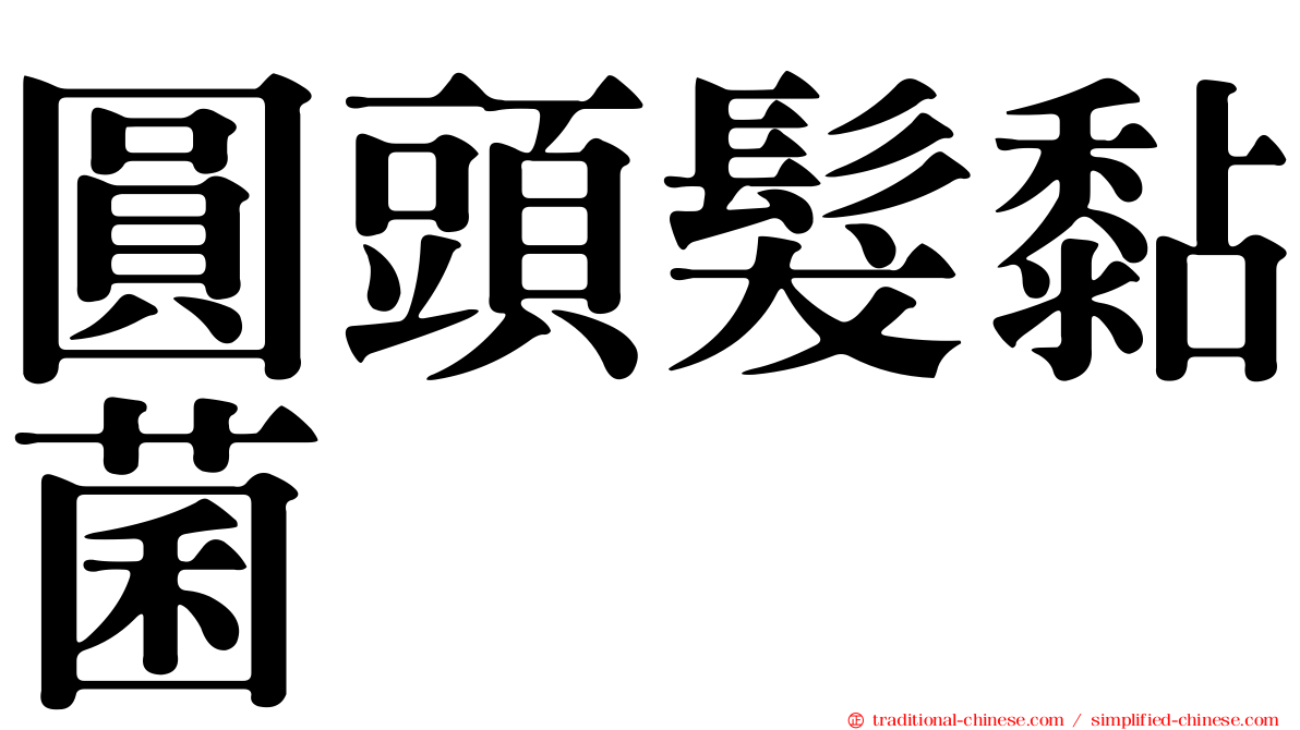 圓頭髮黏菌
