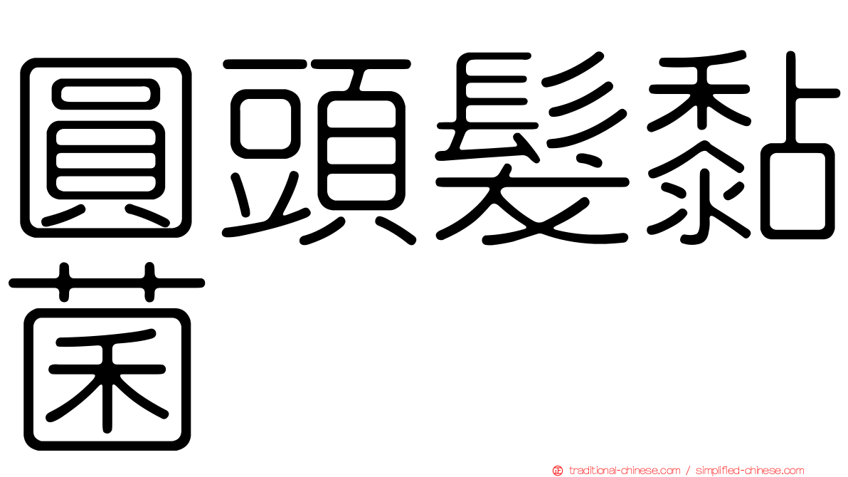 圓頭髮黏菌