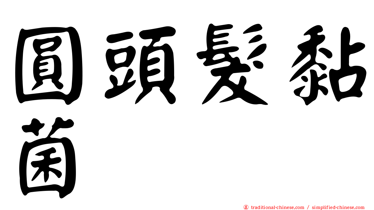 圓頭髮黏菌
