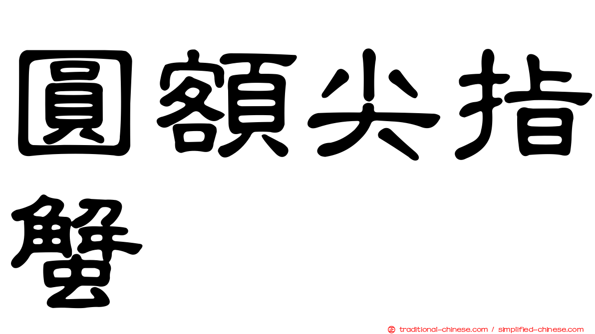 圓額尖指蟹