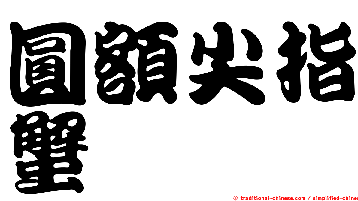 圓額尖指蟹