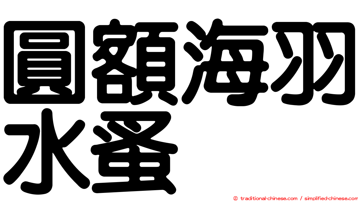 圓額海羽水蚤