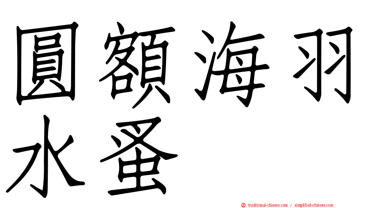 圓額海羽水蚤