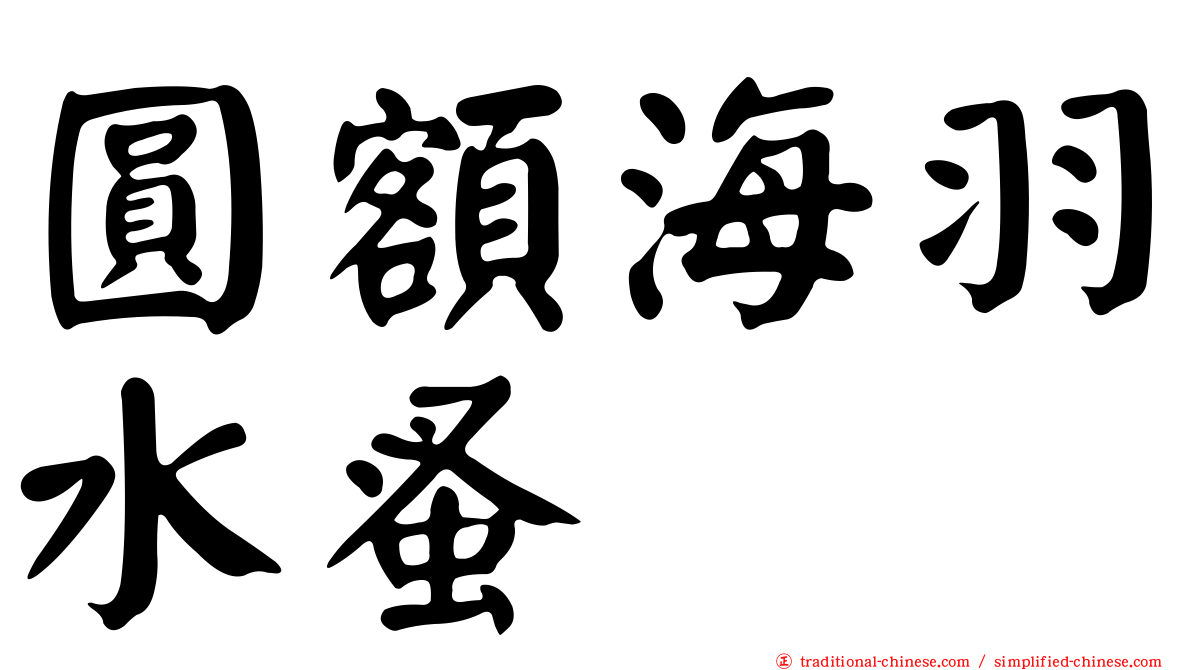 圓額海羽水蚤