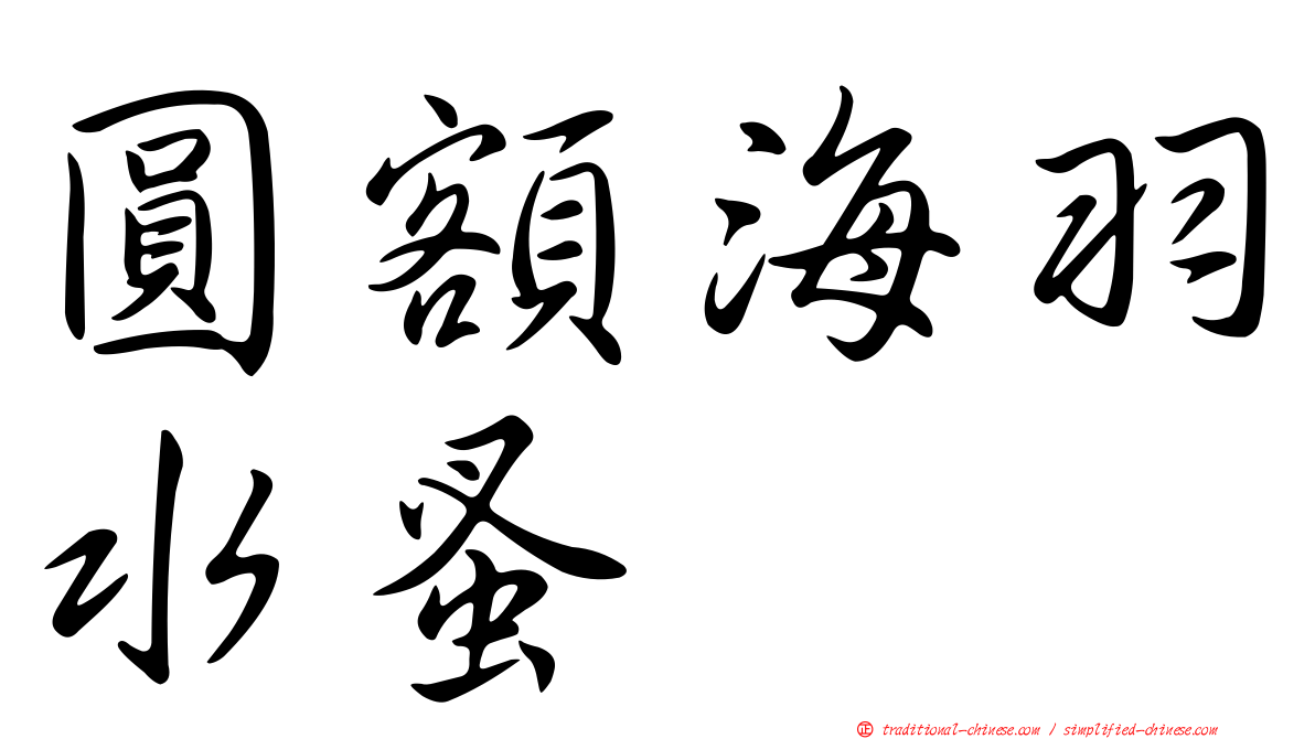 圓額海羽水蚤