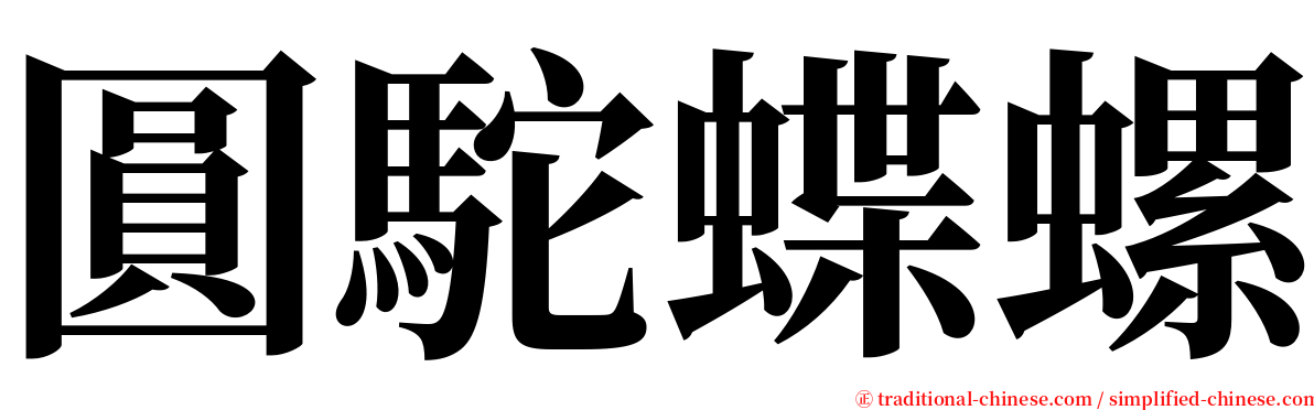 圓駝蝶螺 serif font