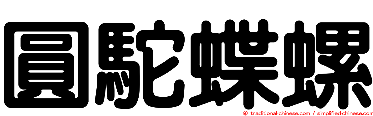 圓駝蝶螺