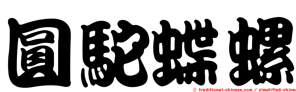 圓駝蝶螺
