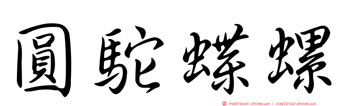 圓駝蝶螺