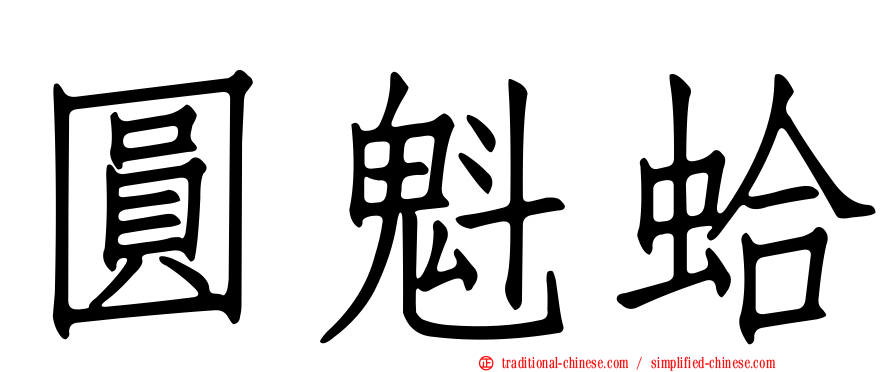 圓魁蛤