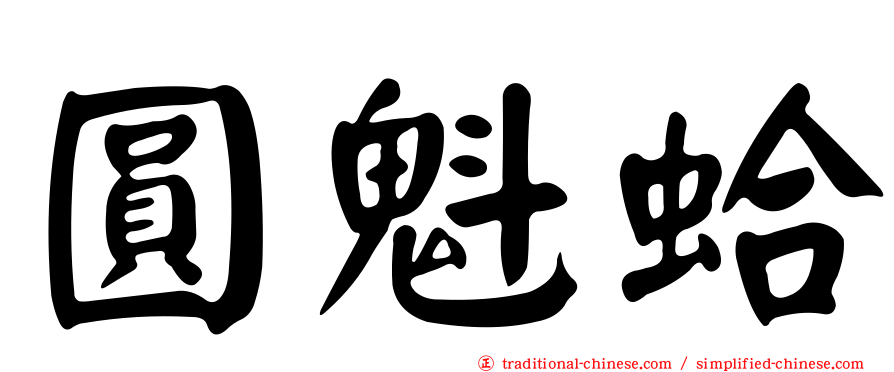 圓魁蛤