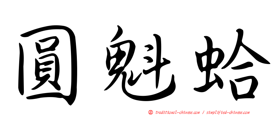 圓魁蛤