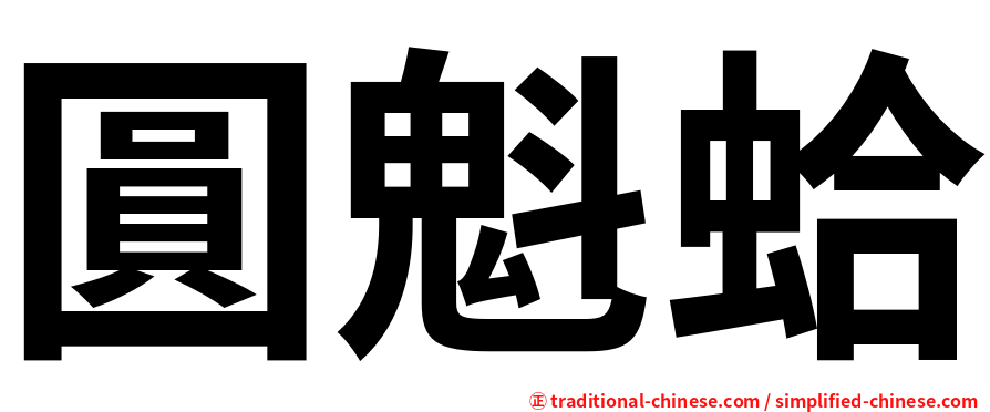 圓魁蛤