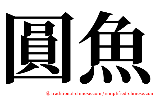圓魚 serif font