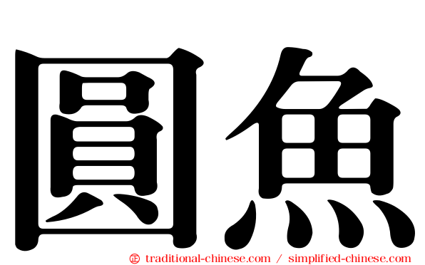 圓魚