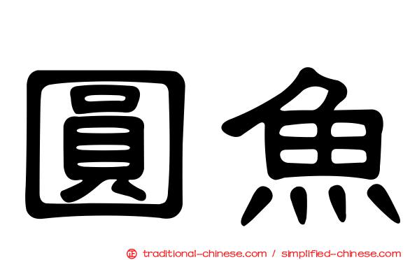 圓魚
