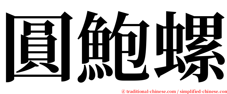 圓鮑螺 serif font