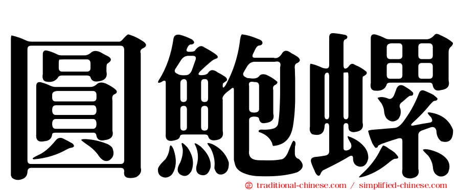 圓鮑螺