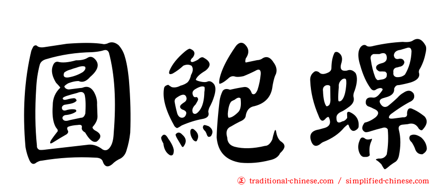 圓鮑螺