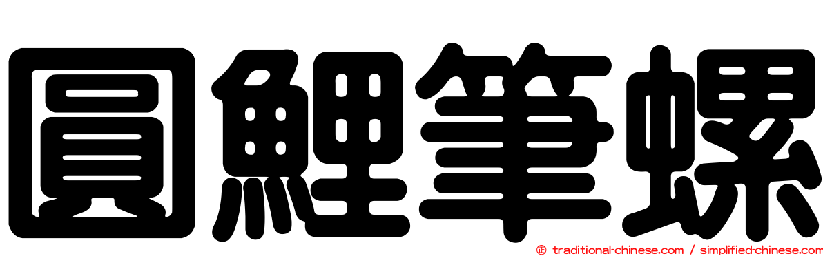圓鯉筆螺