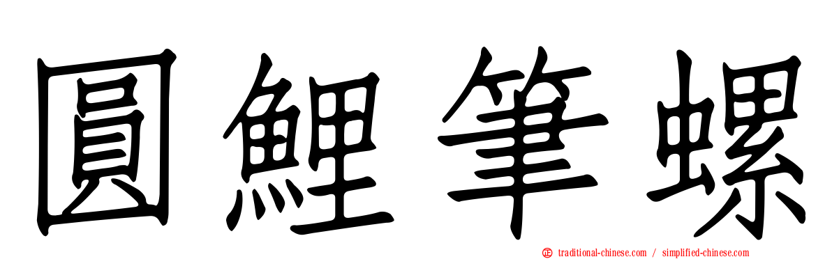 圓鯉筆螺