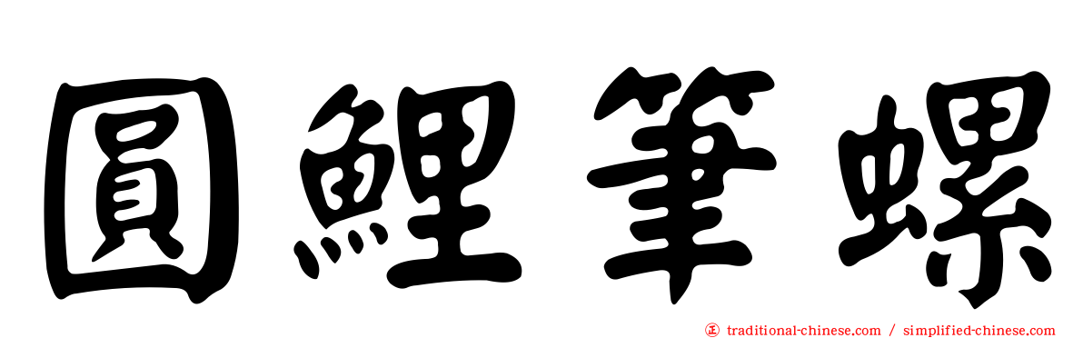 圓鯉筆螺