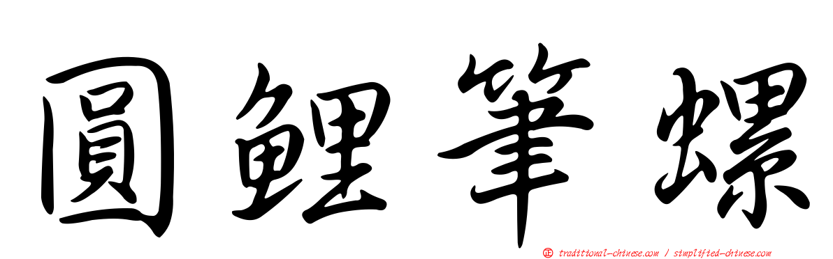 圓鯉筆螺
