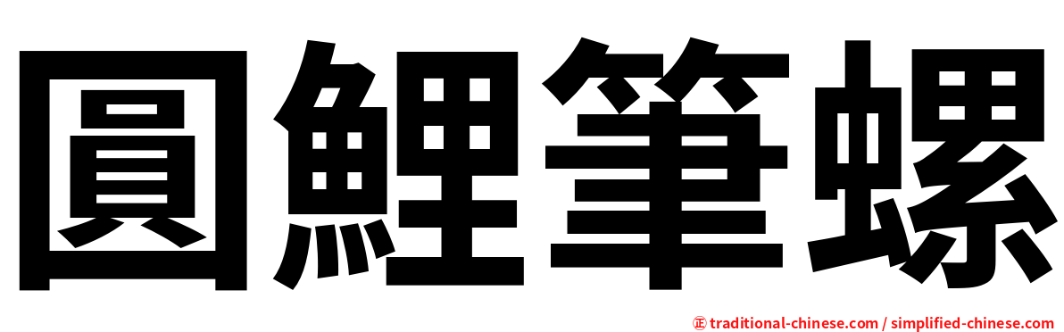 圓鯉筆螺