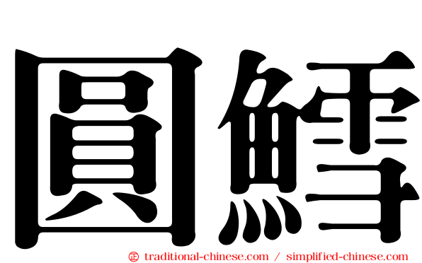 圓鱈