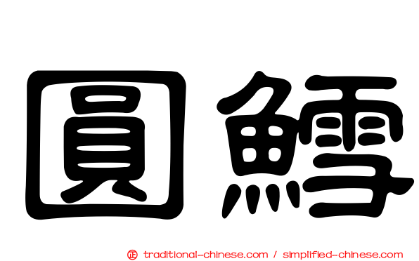 圓鱈