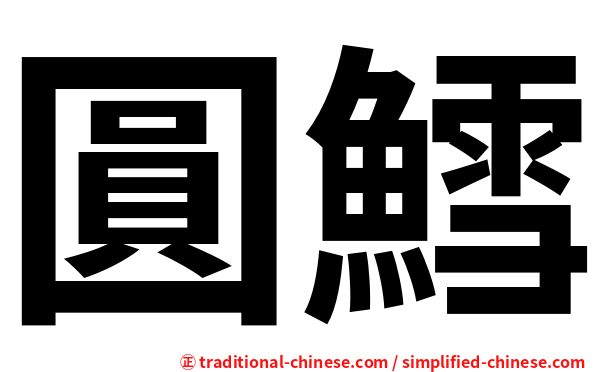 圓鱈