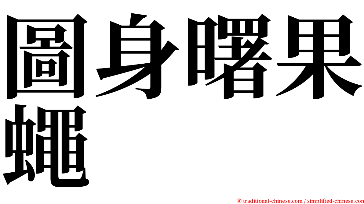 圖身曙果蠅 serif font
