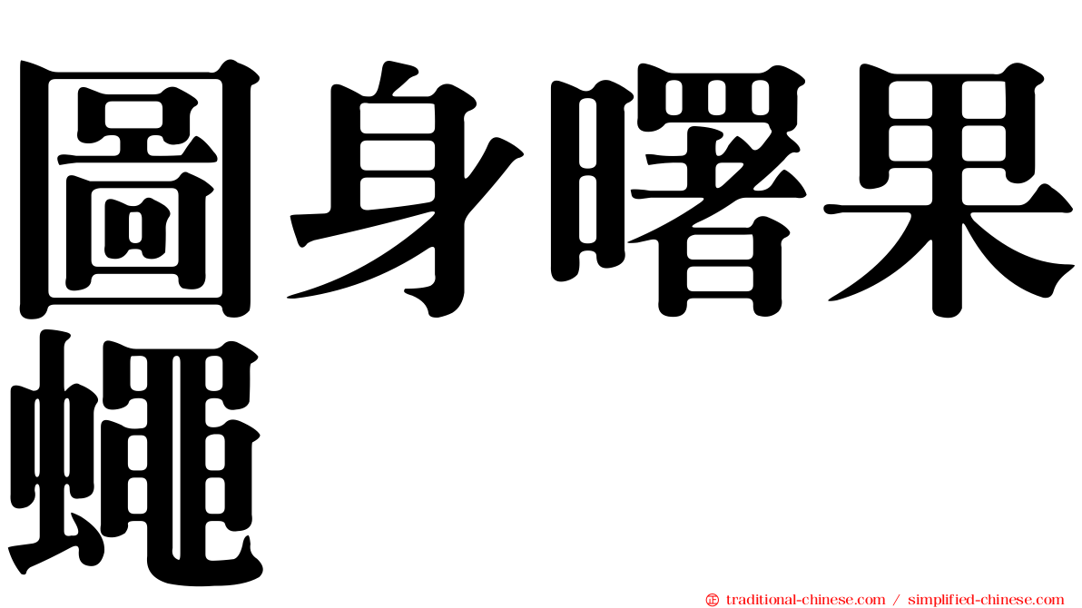 圖身曙果蠅