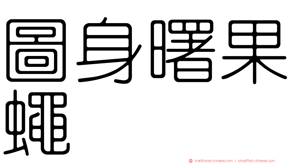 圖身曙果蠅