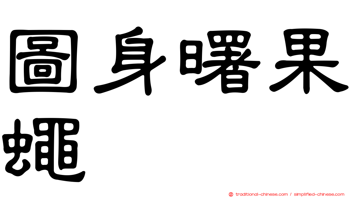 圖身曙果蠅