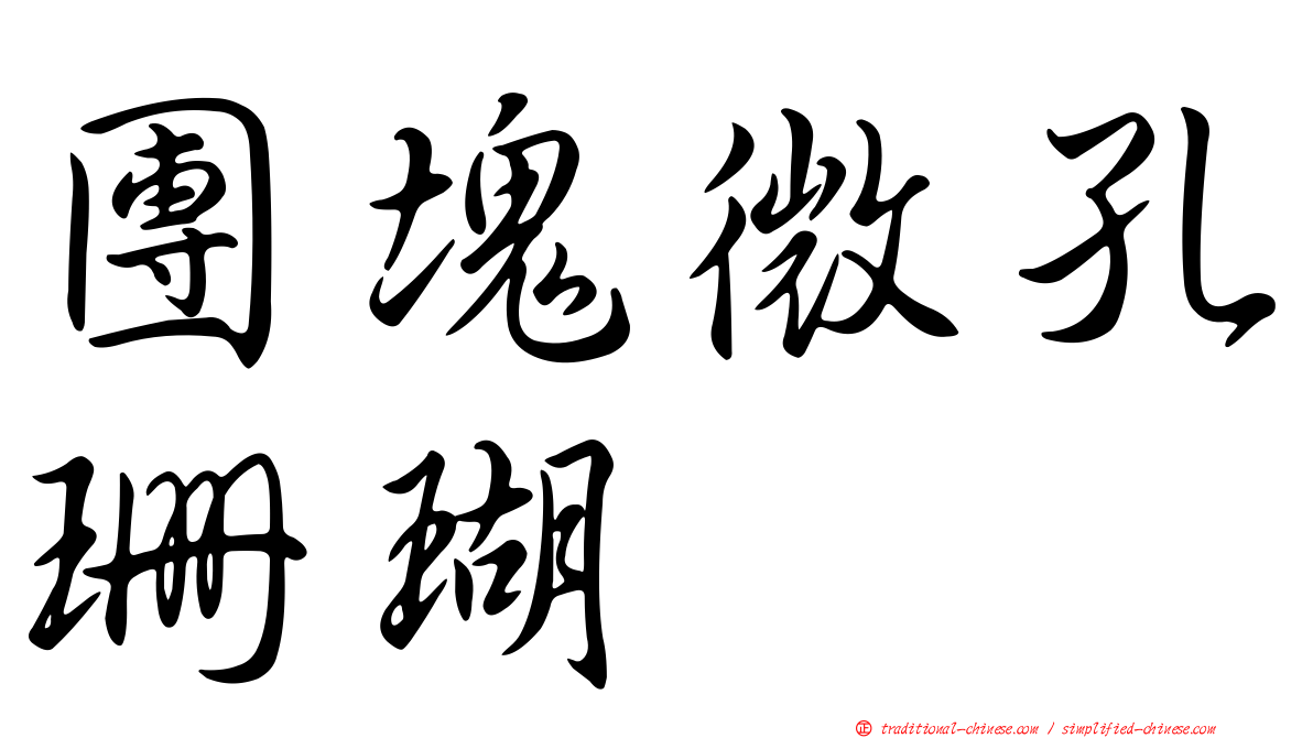 團塊微孔珊瑚
