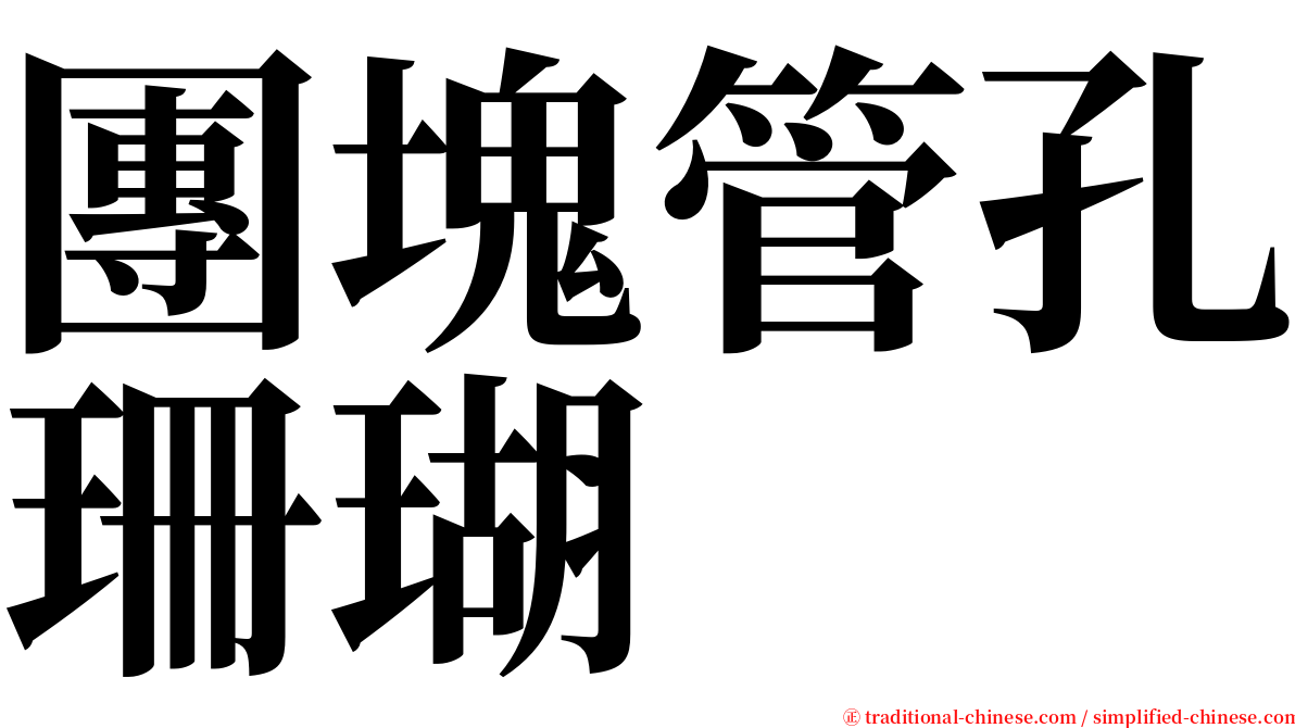 團塊管孔珊瑚 serif font