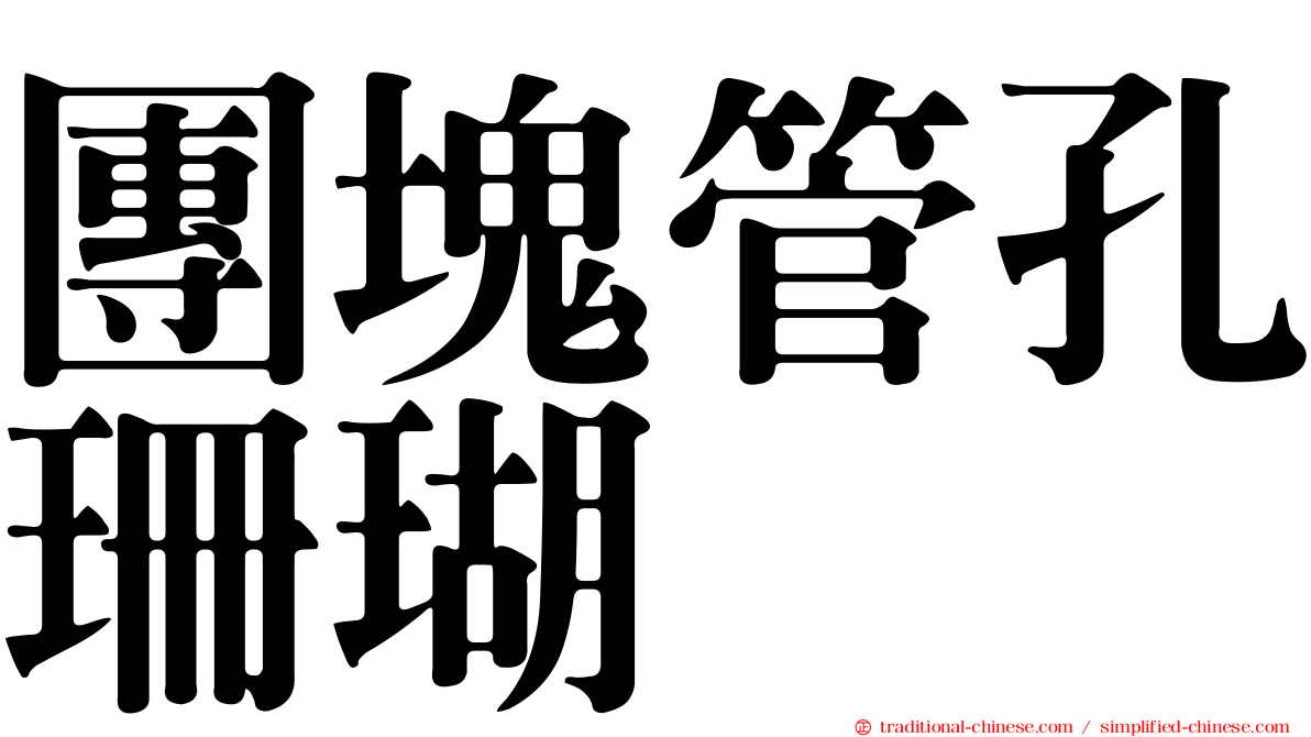 團塊管孔珊瑚