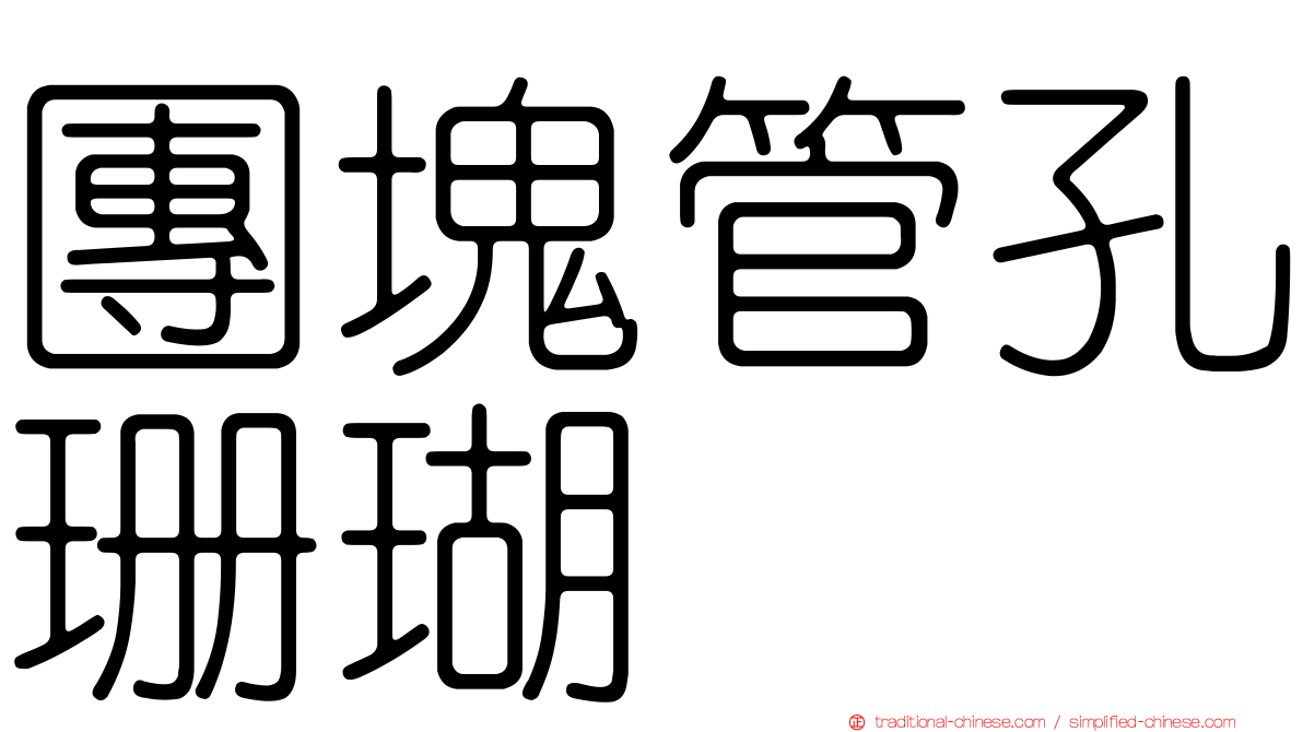 團塊管孔珊瑚