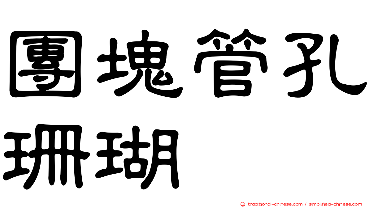 團塊管孔珊瑚