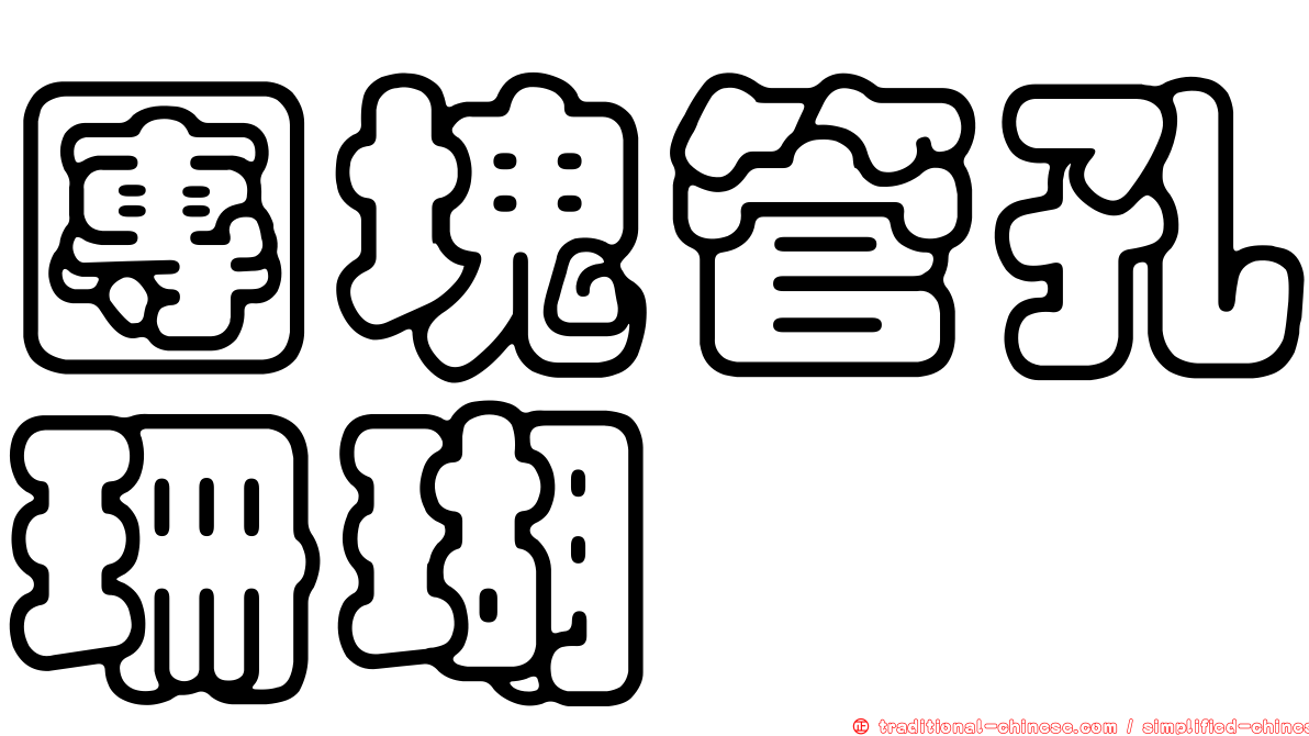 團塊管孔珊瑚