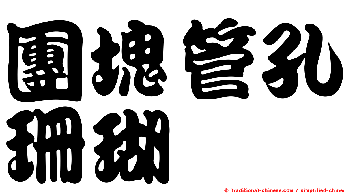 團塊管孔珊瑚
